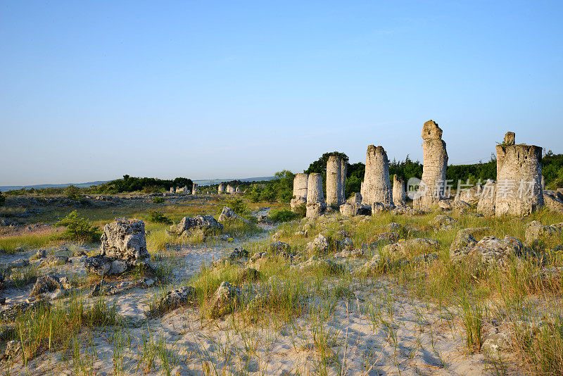 岩石现象Pobiti Kamani(石林)